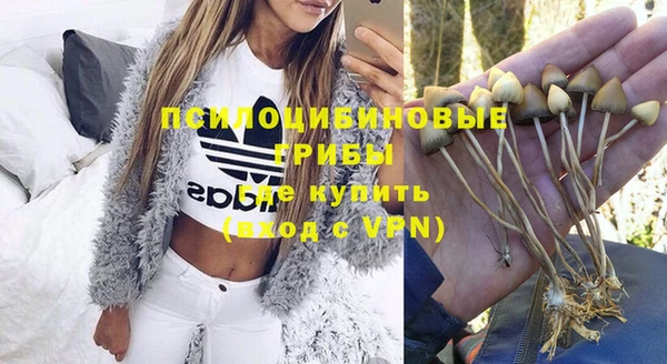 амф Абинск