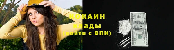 ГАЛЛЮЦИНОГЕННЫЕ ГРИБЫ Абаза