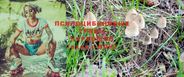 амф Абинск